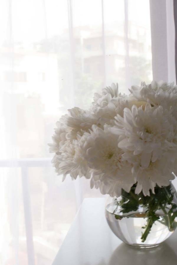 Aleph Boutique Hotel Byblos エクステリア 写真